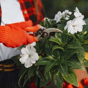 woman-red-shirt-worker-with-flowerpoots-daughter-with-plants_1157-41989.jpg Floristry Essentials